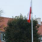 zdjęcie nr 22