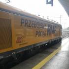 Fotka nr 2 z 13