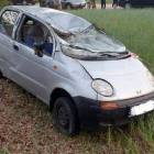 Fotka nr 2 z 7