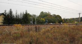 Fotka nr 5 z 12