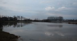 zdjęcie nr 13