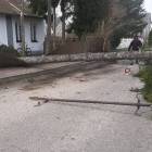 zdjęcie nr 33