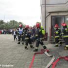 zdjęcie nr 12