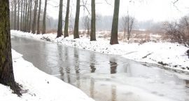 zdjęcie nr 10