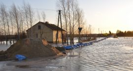 zdjęcie nr 17
