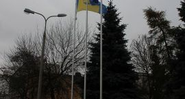 zdjęcie nr 12