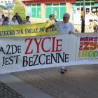 zdjęcie nr 