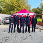 Fotka nr 1 z 17