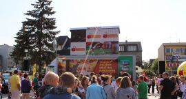 zdjęcie nr 16