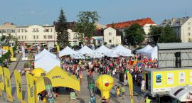 zdjęcie nr 30