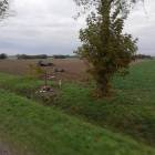 Fotka nr 1 z 5