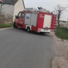 Fotka nr 1 z 3