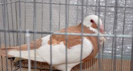 zdjęcie nr 37