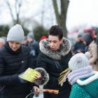 zdjęcie nr 16