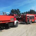 Fotka nr 1 z 4