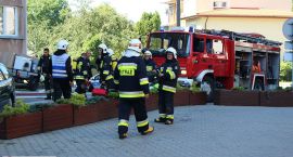 zdjęcie nr 82