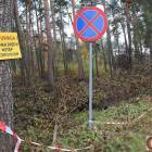 Fotka nr 3 z 19