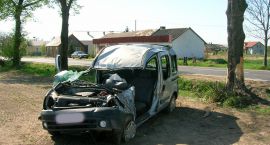 zdjęcie nr 21