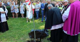 zdjęcie nr 57