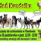 Fotka nr 0 z 1