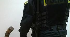Fotka nr 0 z 4