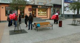 zdjęcie nr 8