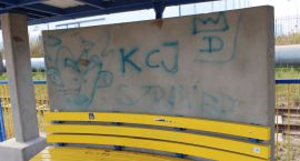zdjęcie nr 18