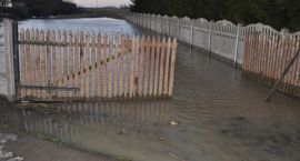 zdjęcie nr 44