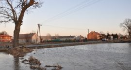 zdjęcie nr 39