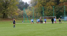 zdjęcie nr 12