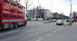 IMG_4230
