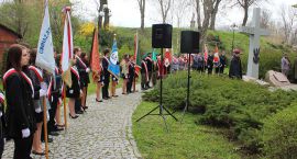 zdjęcie nr 7