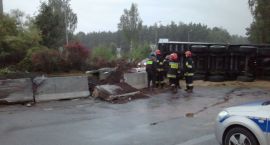 Fotka nr 3 z 21