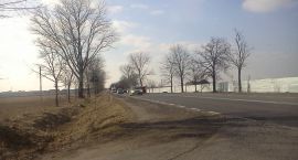 IMG_20120307_142831