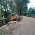 Fotka nr 5 z 13