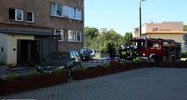zdjęcie nr 72