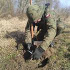 Fotka nr 3 z 15