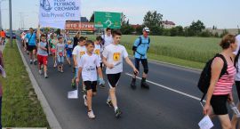 zdjęcie nr 43