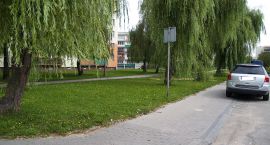 zdjęcie nr 7