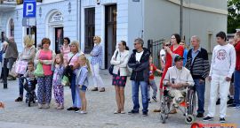 zdjęcie nr 41