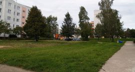 zdjęcie nr 7