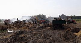 zdjęcie nr 10
