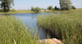 zdjęcie nr 29