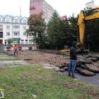 Fotka nr 5 z 13