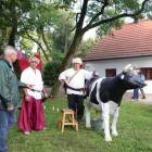 zdjęcie nr 40