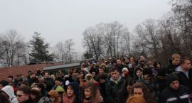 zdjęcie nr 41