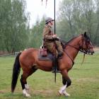 zdjęcie nr 97