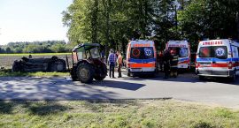 zdjęcie nr 7