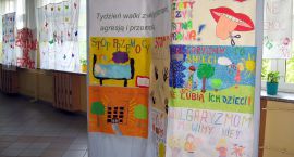 zdjęcie nr 12