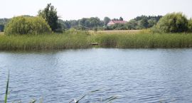 zdjęcie nr 9